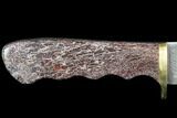 Knife With Fossil Dinosaur Bone (Gembone) Inlays #101813-5